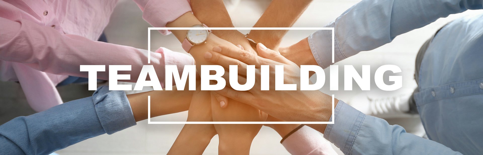 Stake(�й���)�ٷ���վ